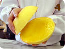 �ʐ^�S
